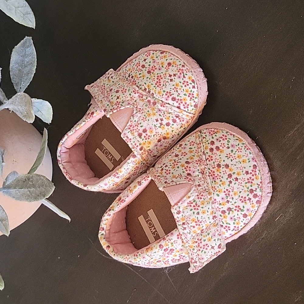 Toms- Baby size 1